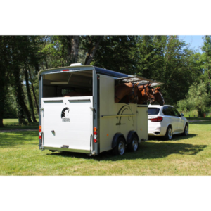 Carrinhas de cavalos